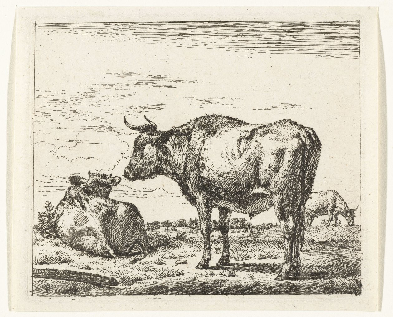 Taureau debout (Divers animaux) - Adriaen van de Velde