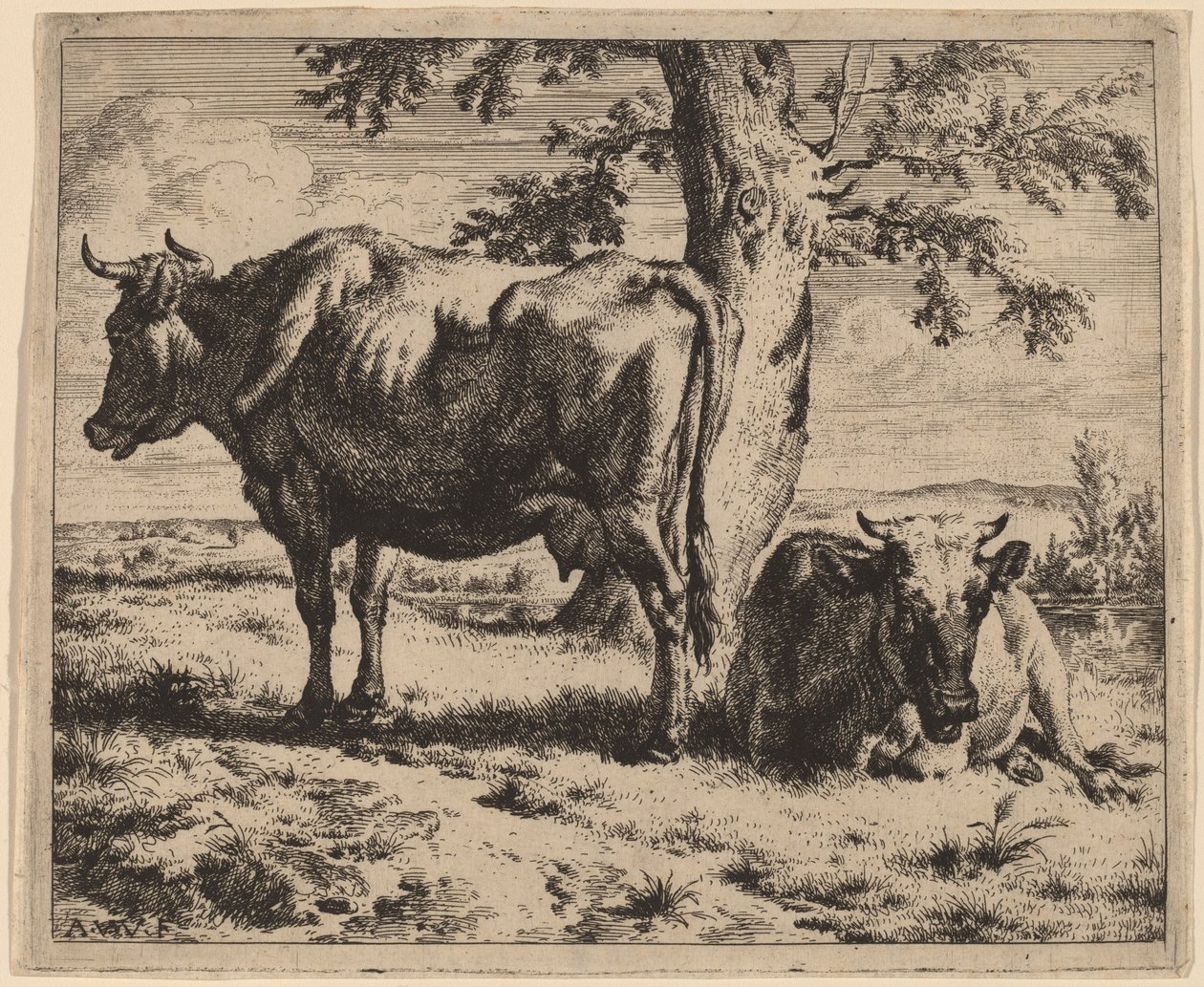 Deux vaches sous un arbre - Adriaen van de Velde