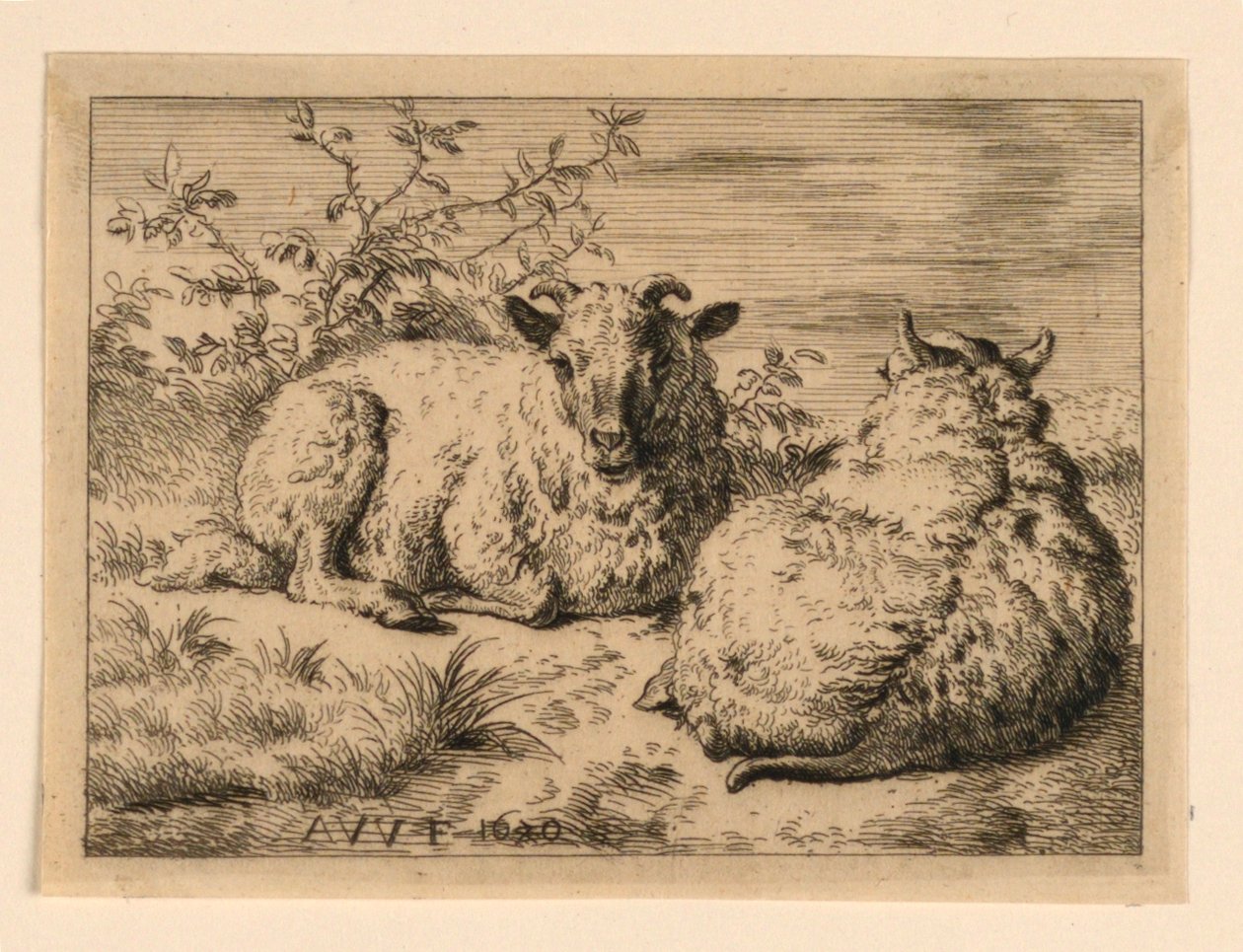Les Deux Moutons - Adrian van de Velde