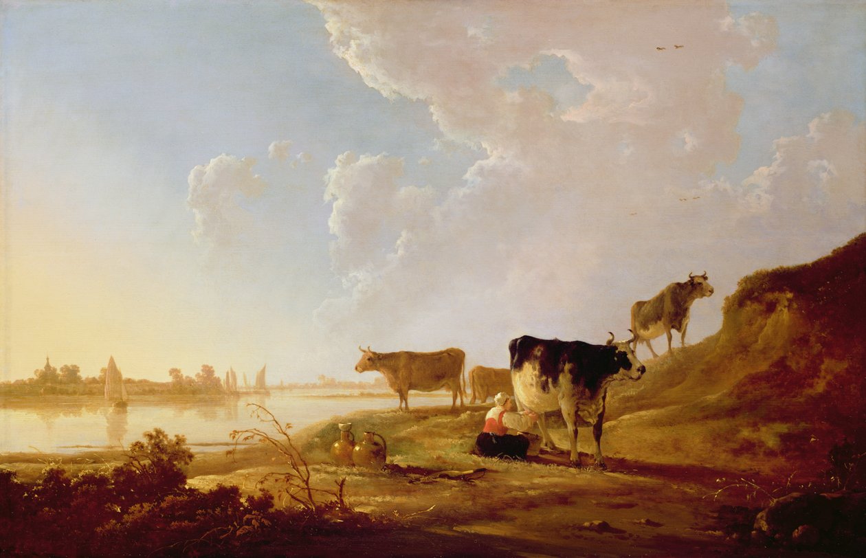 Vaches près d