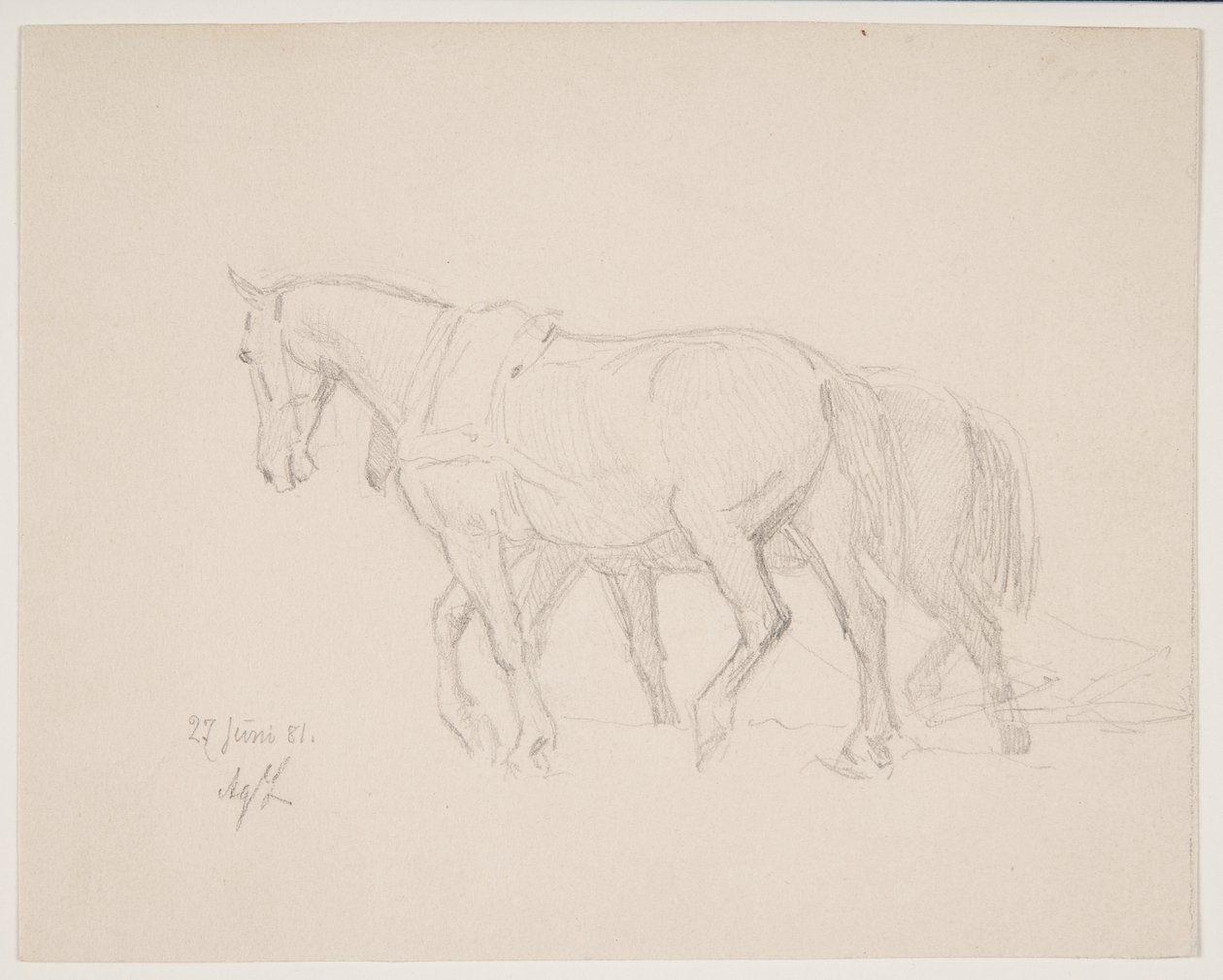 À cheval - Agnes Lunn