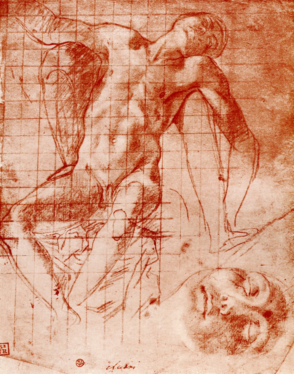 Études - Agnolo Bronzino