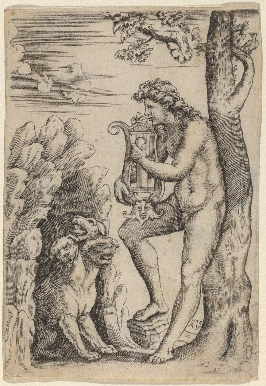Orphée - Agostino dei Musi