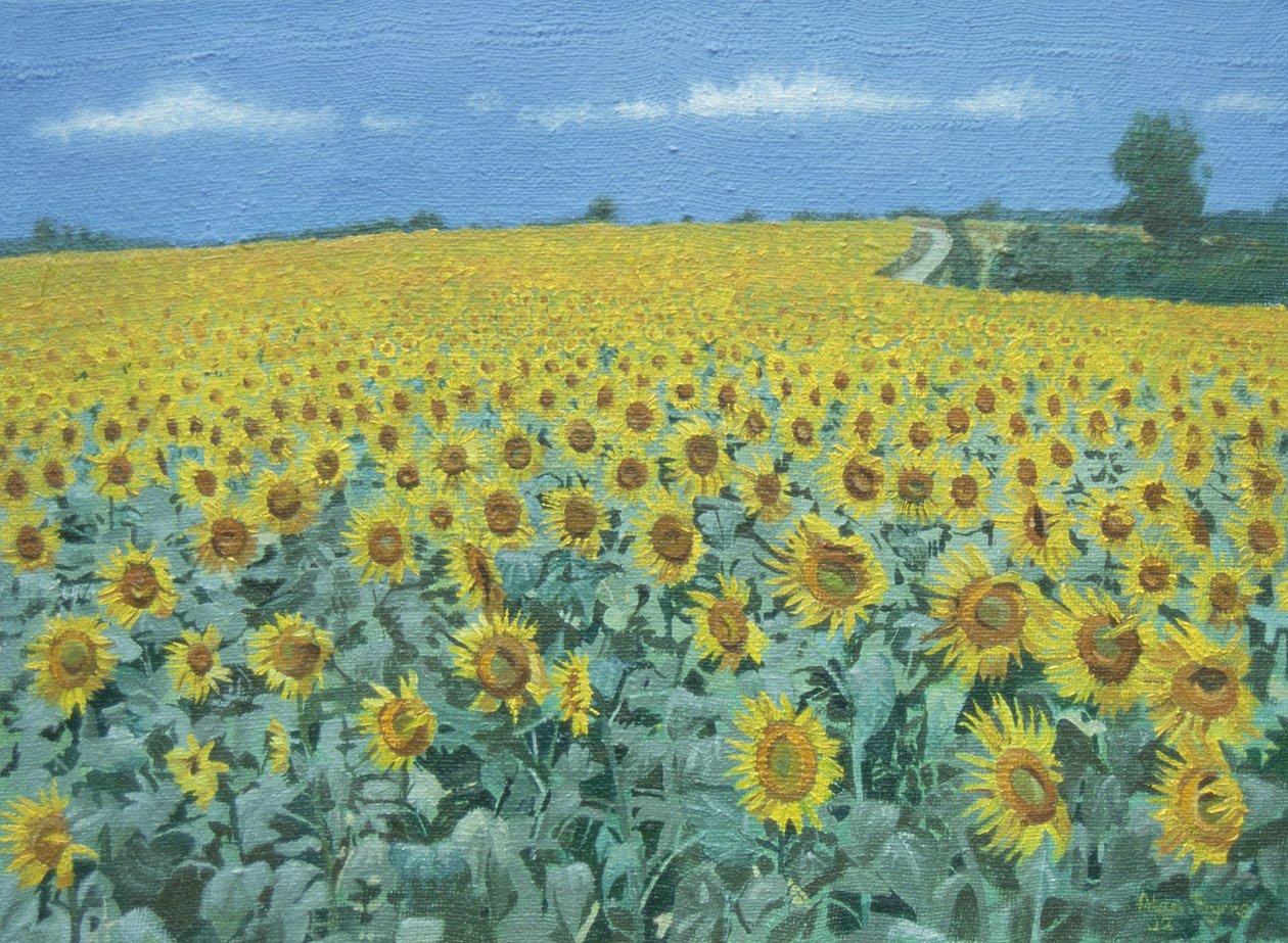 Champ de tournesols, 2002 - Alan Byrne