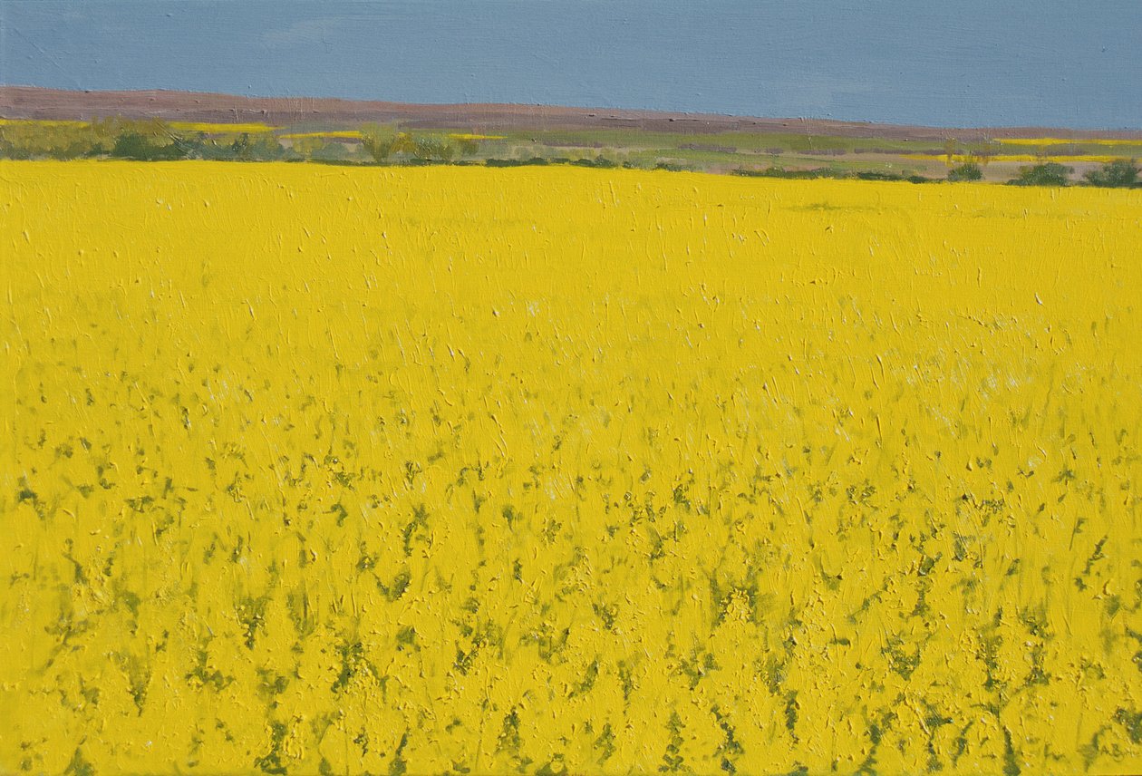 Champ de colza, 2003 - Alan Byrne