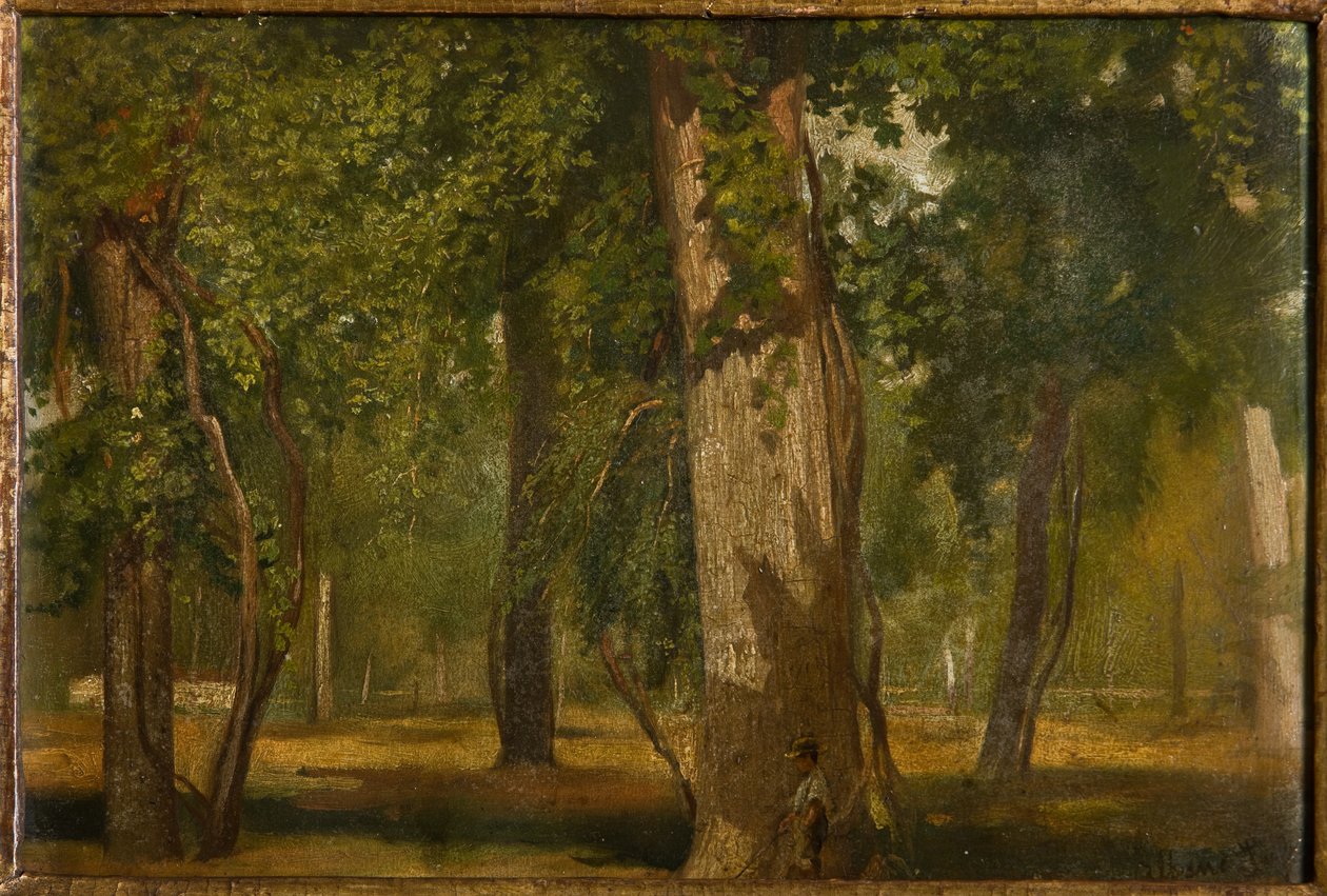 Le bois - Albano Lugli Carpi