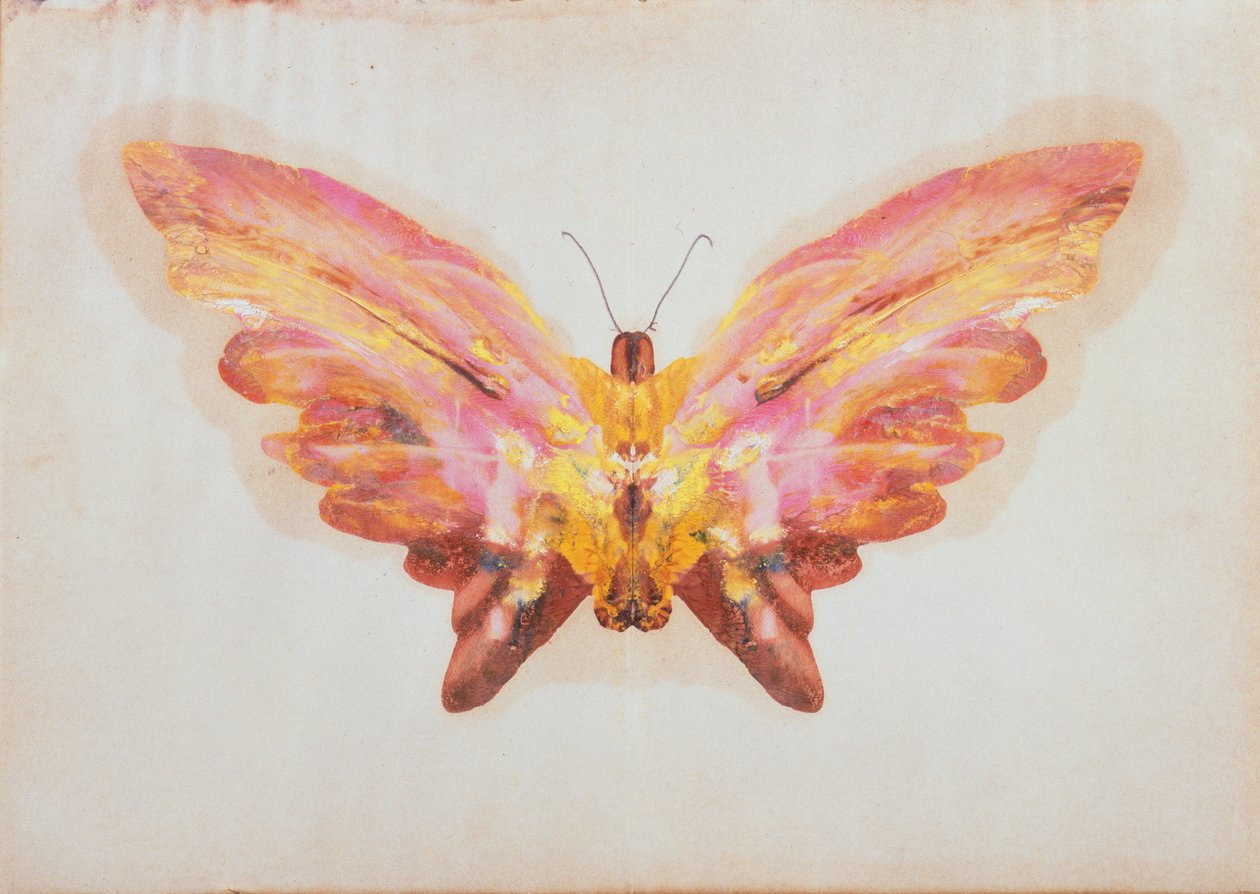Papillon - Albert Bierstadt