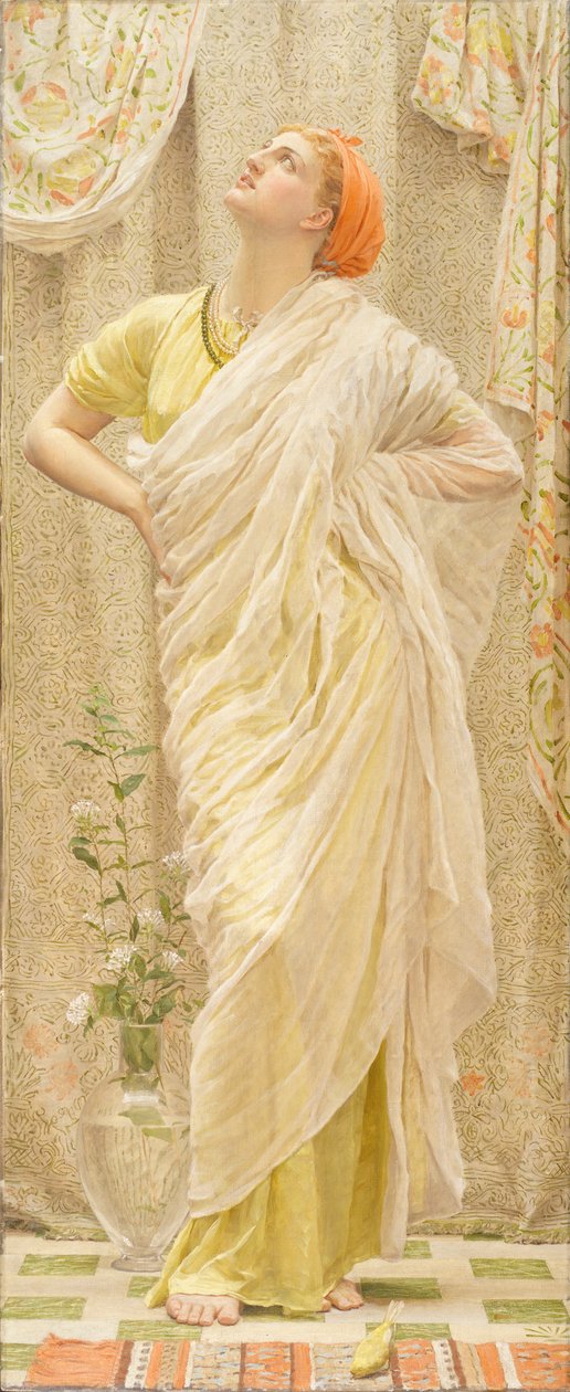 Canaris - Albert Joseph Moore