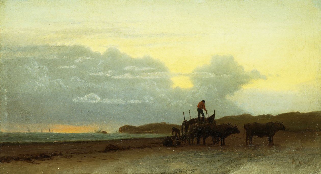 Vue côtière, Newport, 1861 - Albert Bierstadt