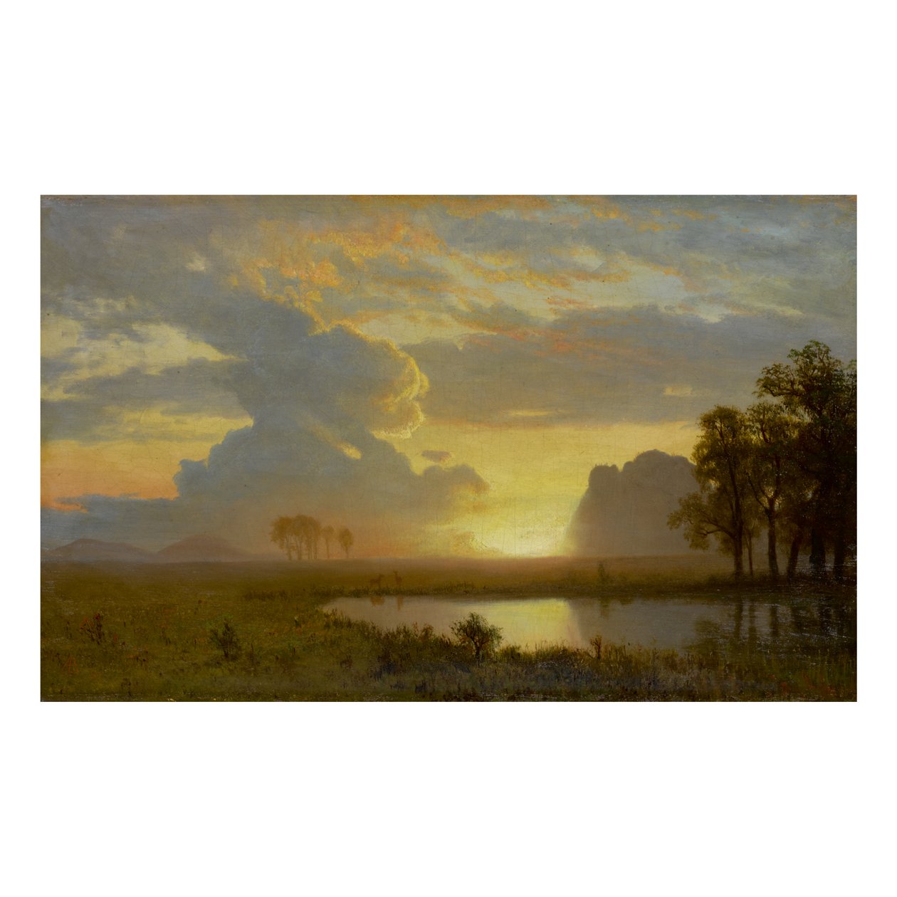 ESTES PARK, COLORADO - Albert Bierstadt