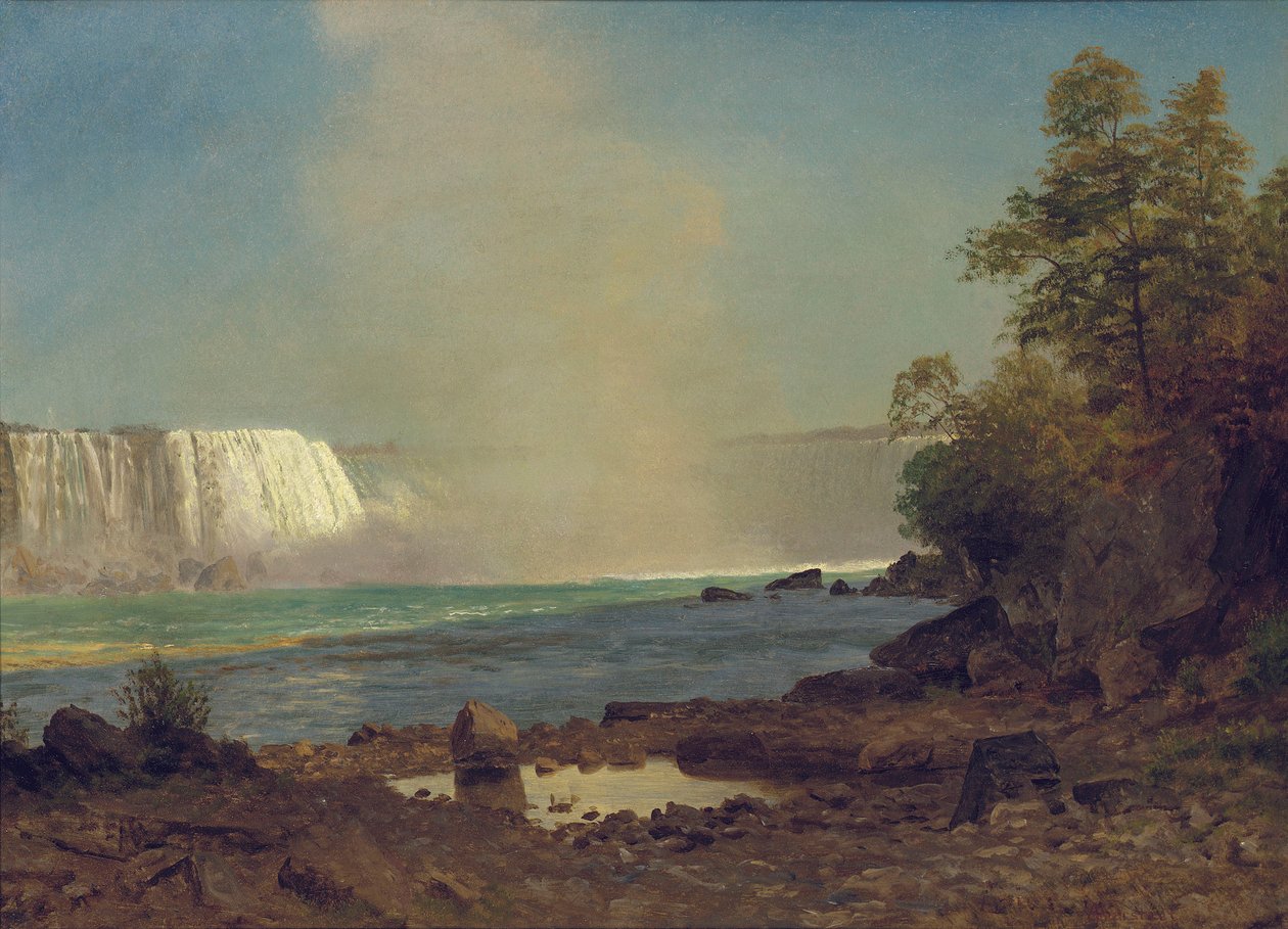 Chutes du Niagara, 1863 - Albert Bierstadt