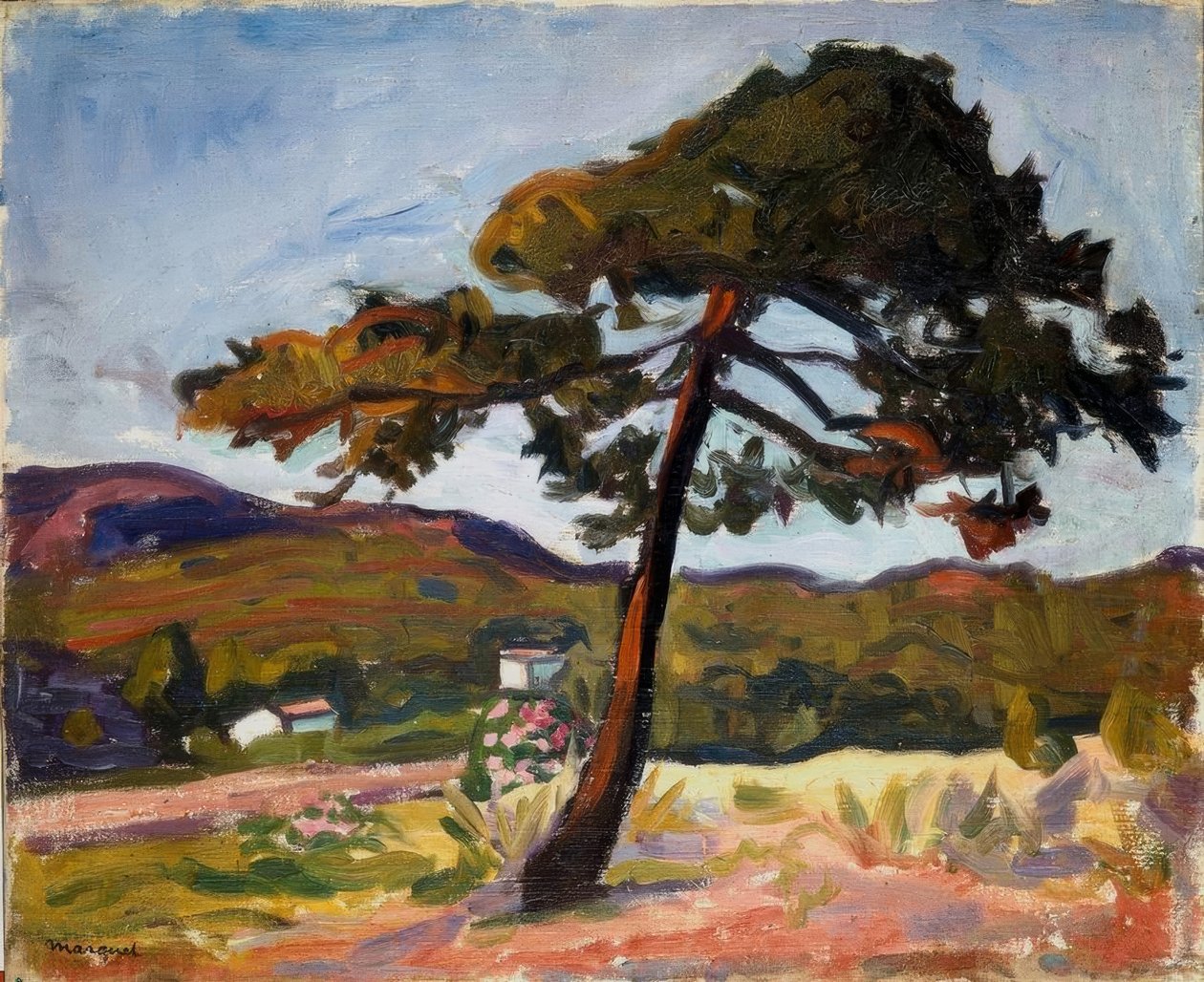 Pin en St. Tropez - Albert Marquet
