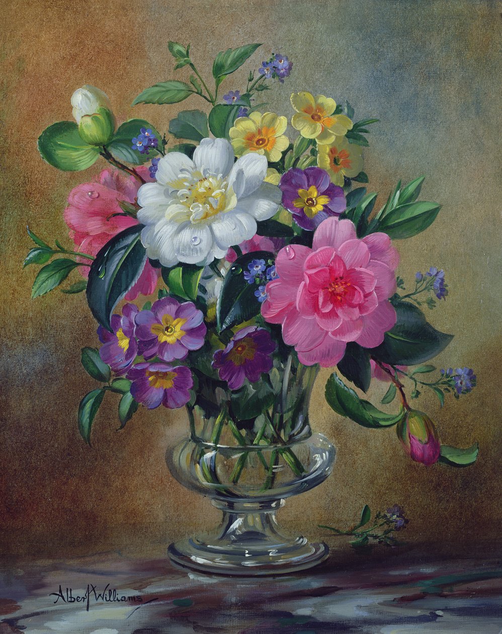 Image inconnue - Albert Williams