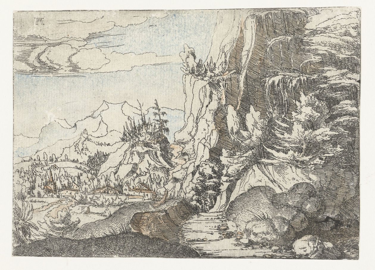 Paysage avec une falaise ombragée - Albrecht Altdorfer