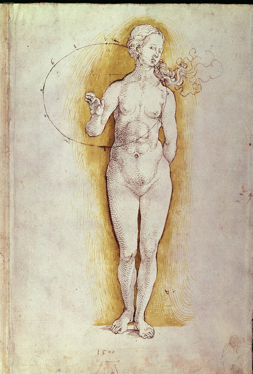 Femme nue - Albrecht Dürer