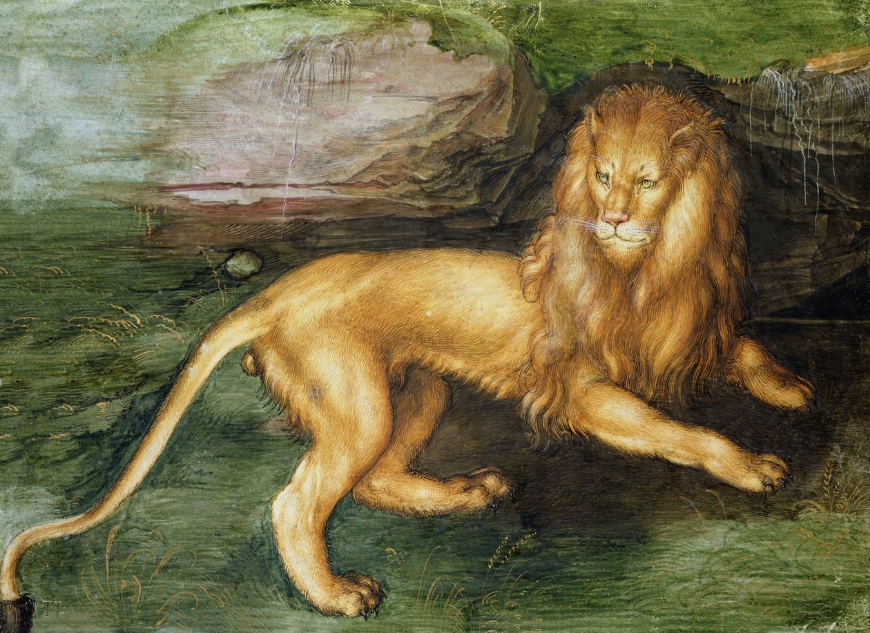Lion - Albrecht Dürer