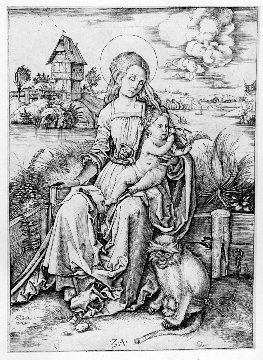 Madone avec le singe - Albrecht Dürer