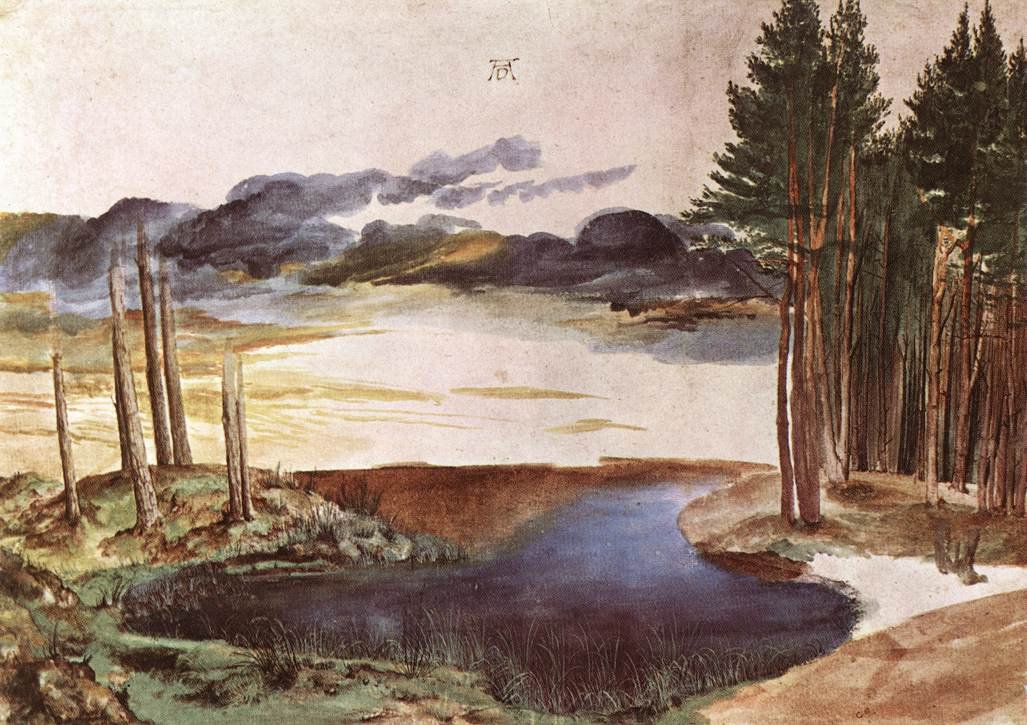 Étang dans les bois - Albrecht Dürer