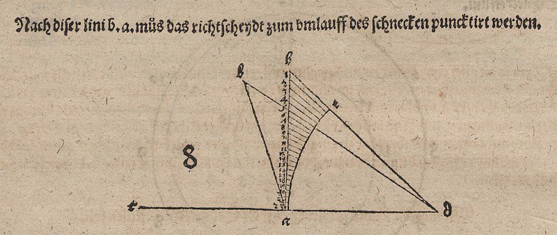 Spirale tangente et apparentée - Albrecht Dürer