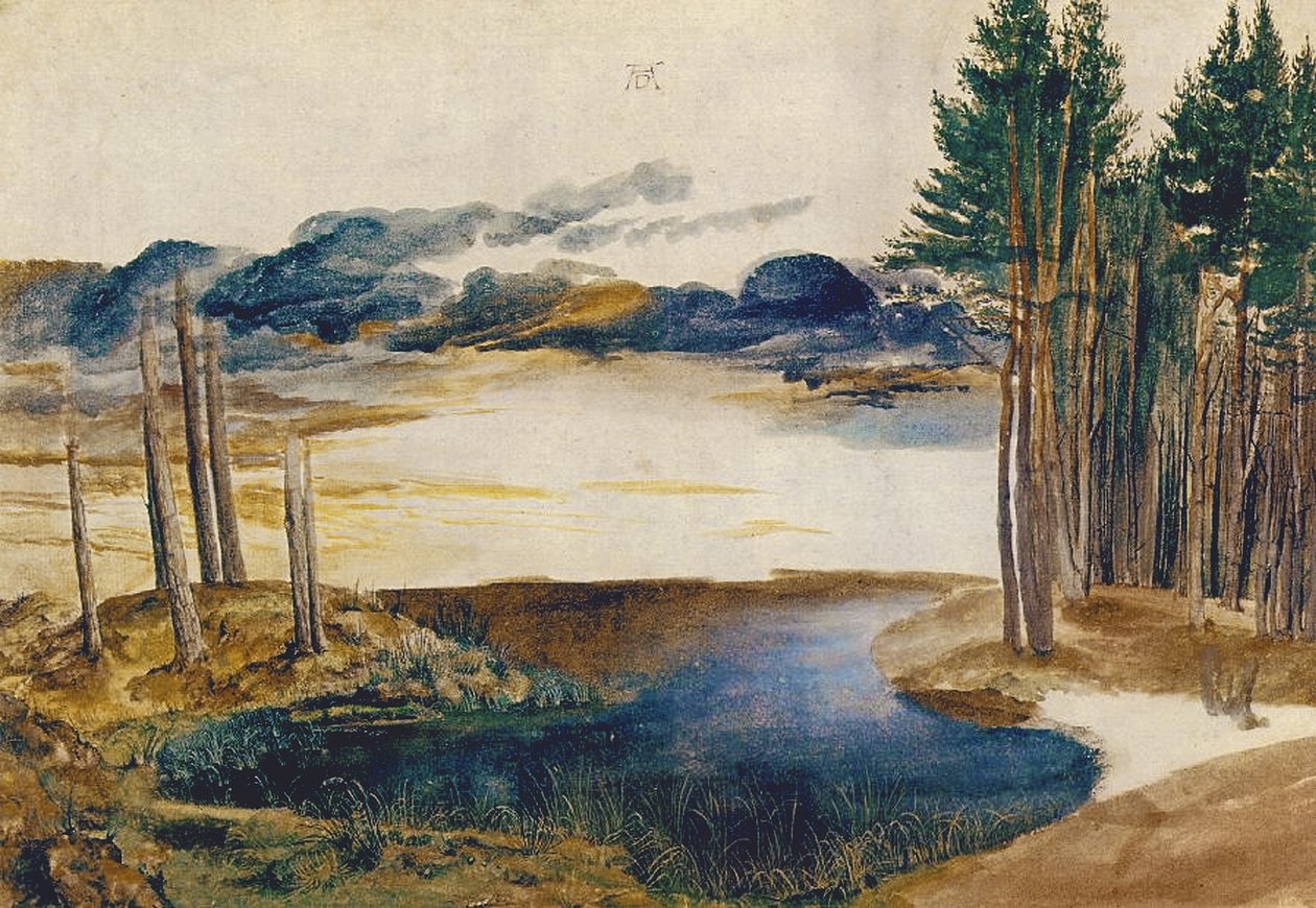 Étang dans le bois, c.1496 - Albrecht Dürer