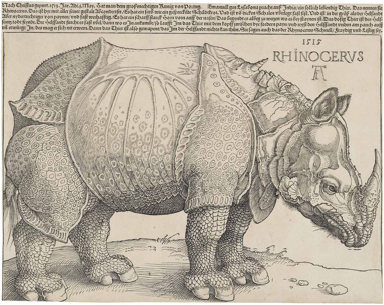 Le Rhinocéros, 1515 - Albrecht Dürer