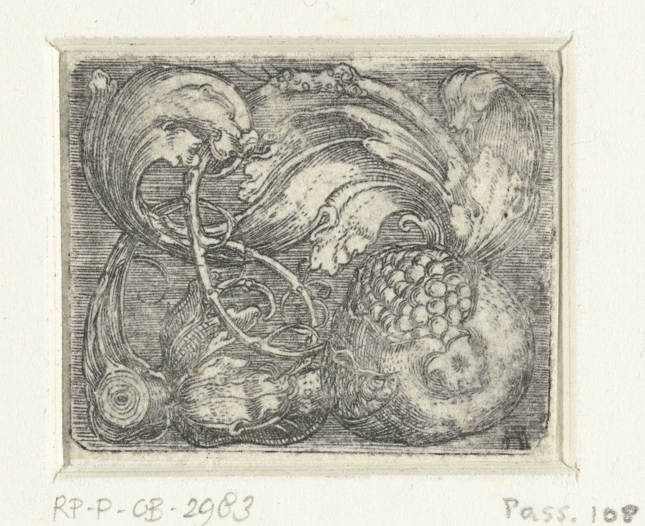 Grenade et vrilles - Albrecht Altdorfer