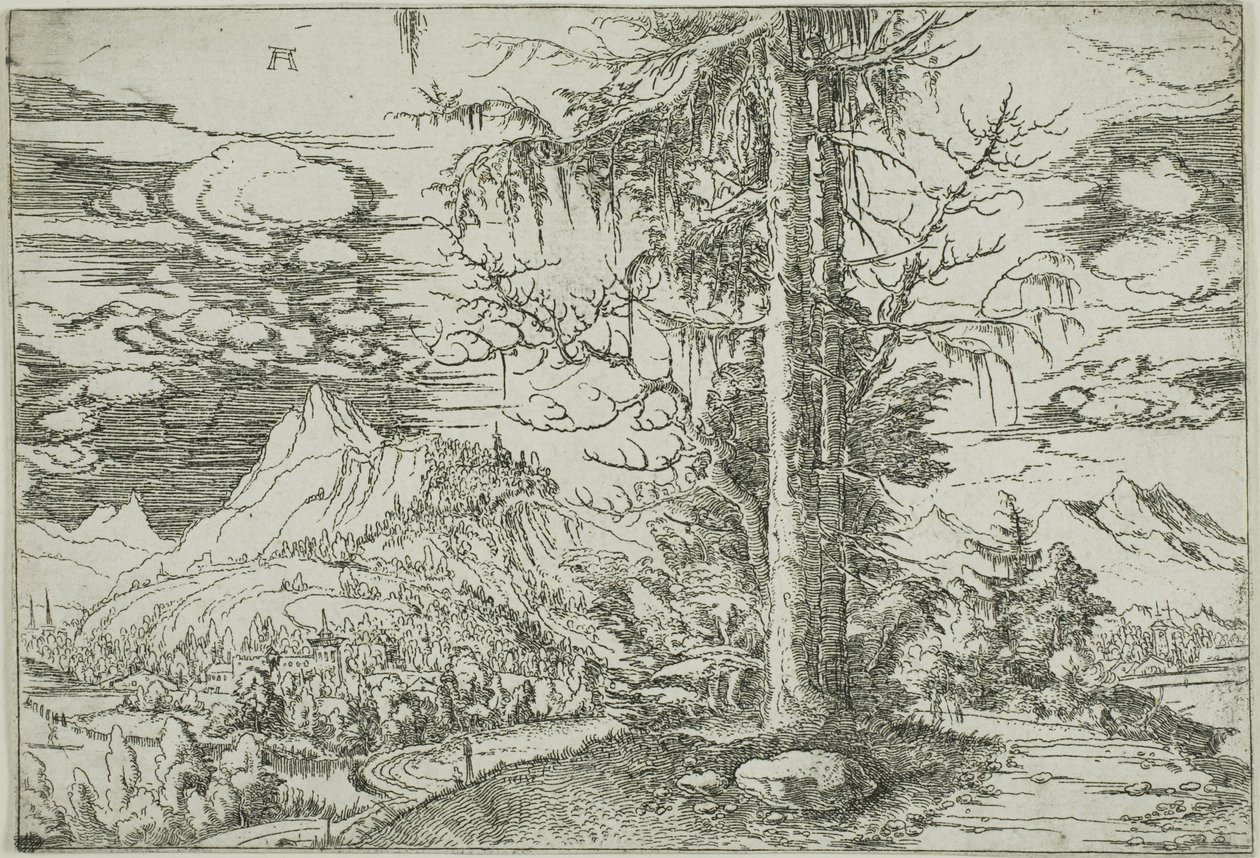 Paysage avec un double épicéa - Albrecht Altdorfer