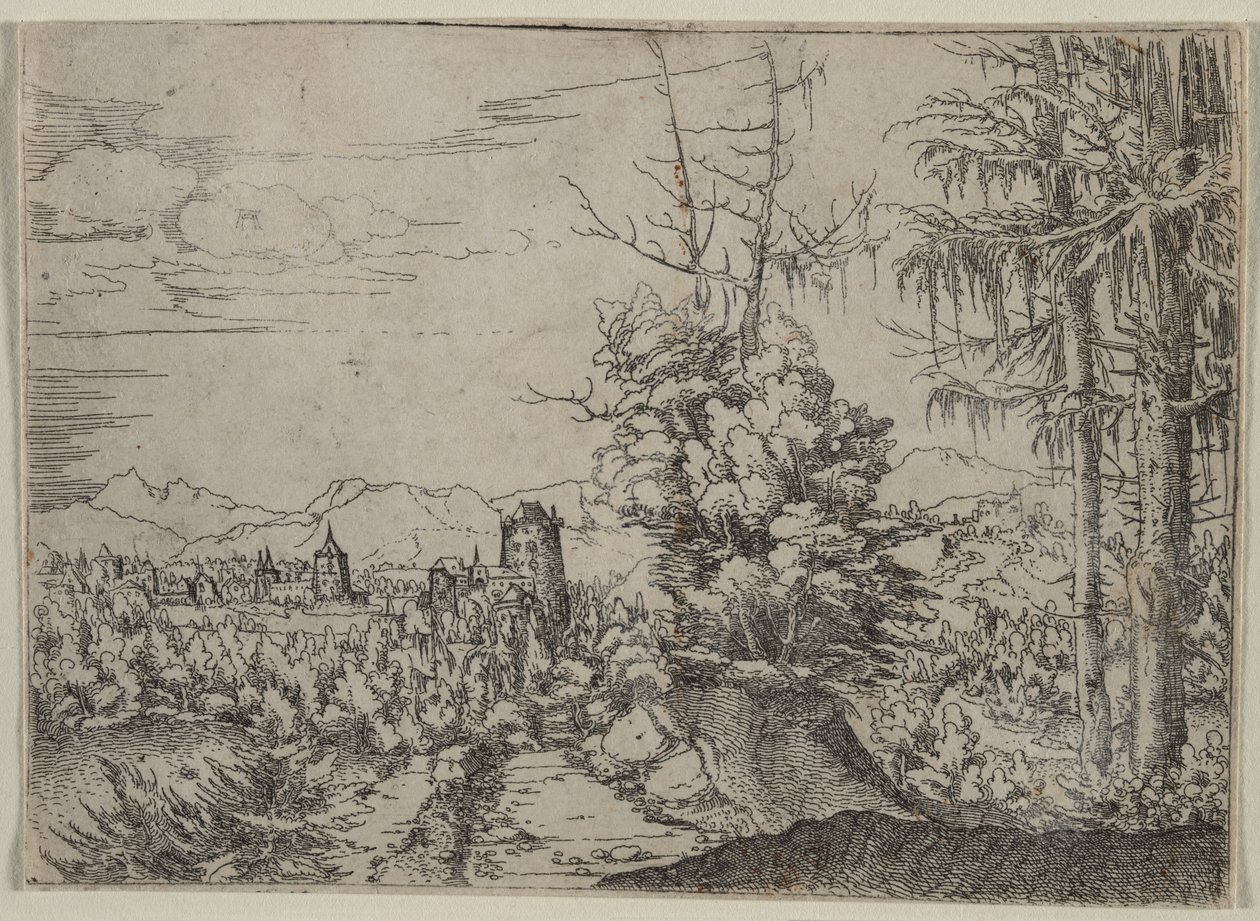 Paysage avec deux pins - Albrecht Altdorfer