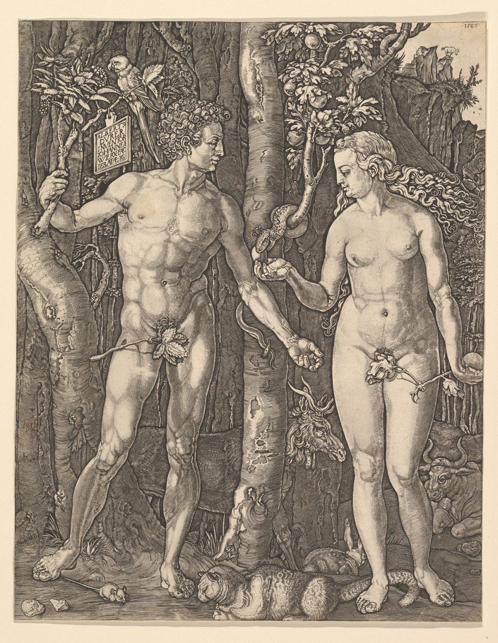 Adam et Ève, 1566 - Albrecht Dürer