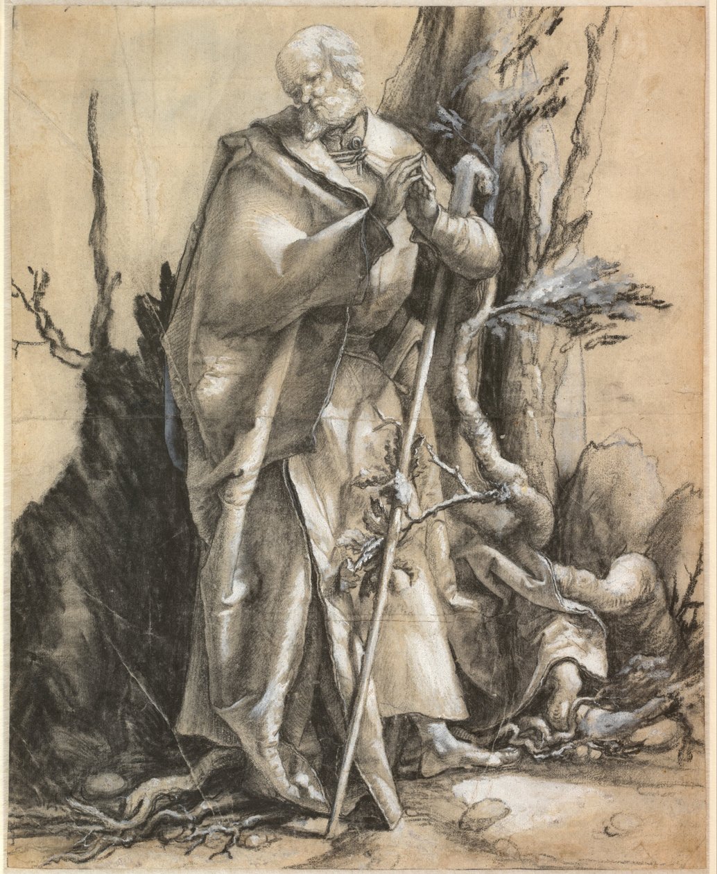 Saint barbu dans une forêt - Albrecht Dürer