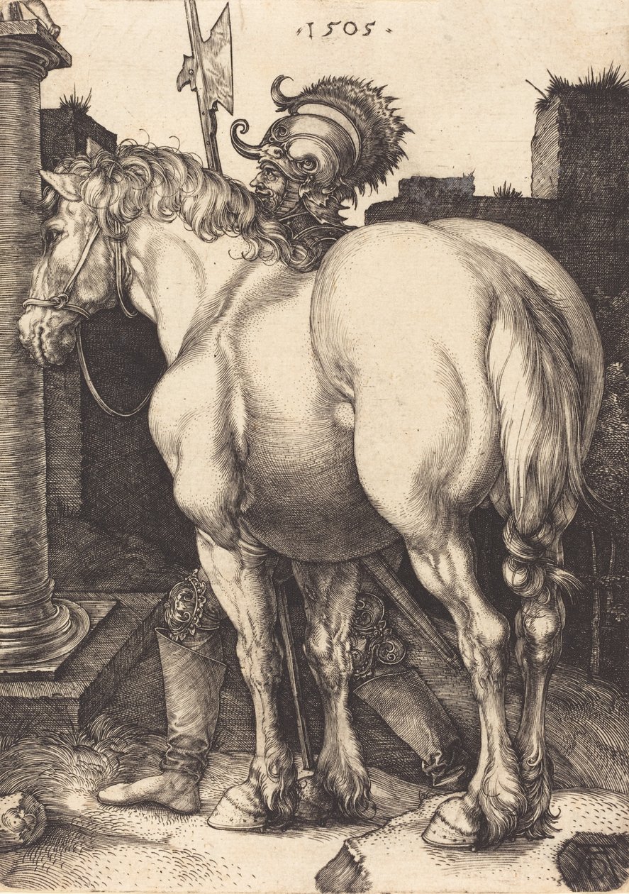 Grand cheval - Albrecht Dürer