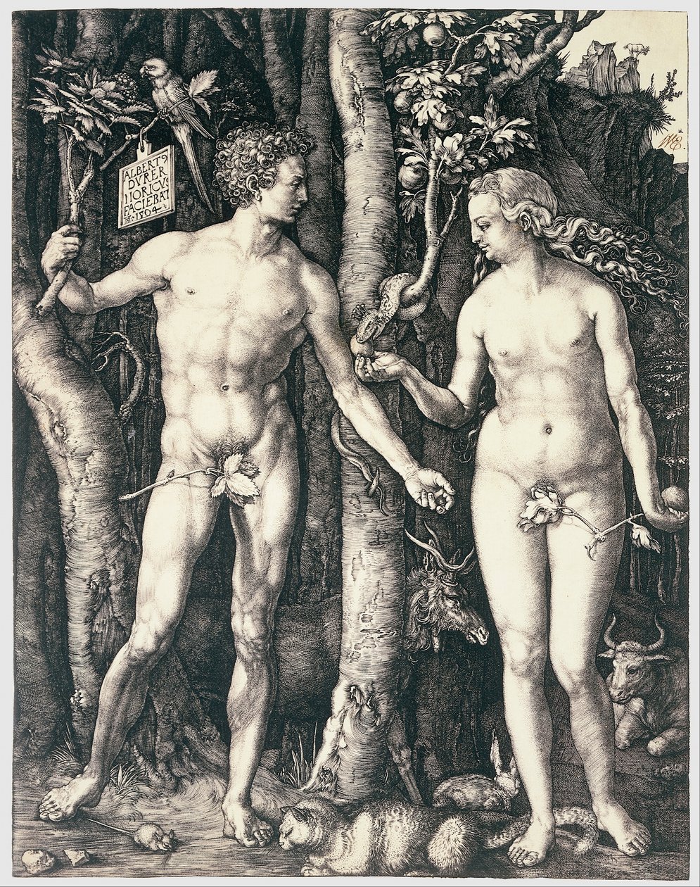 Péché originel - Albrecht Dürer
