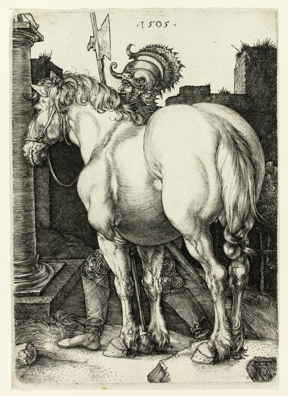 Le grand cheval - Albrecht Dürer