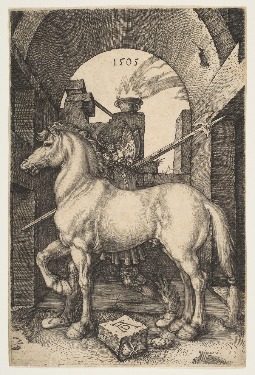 Le Petit Cheval, 1505 - Albrecht Dürer