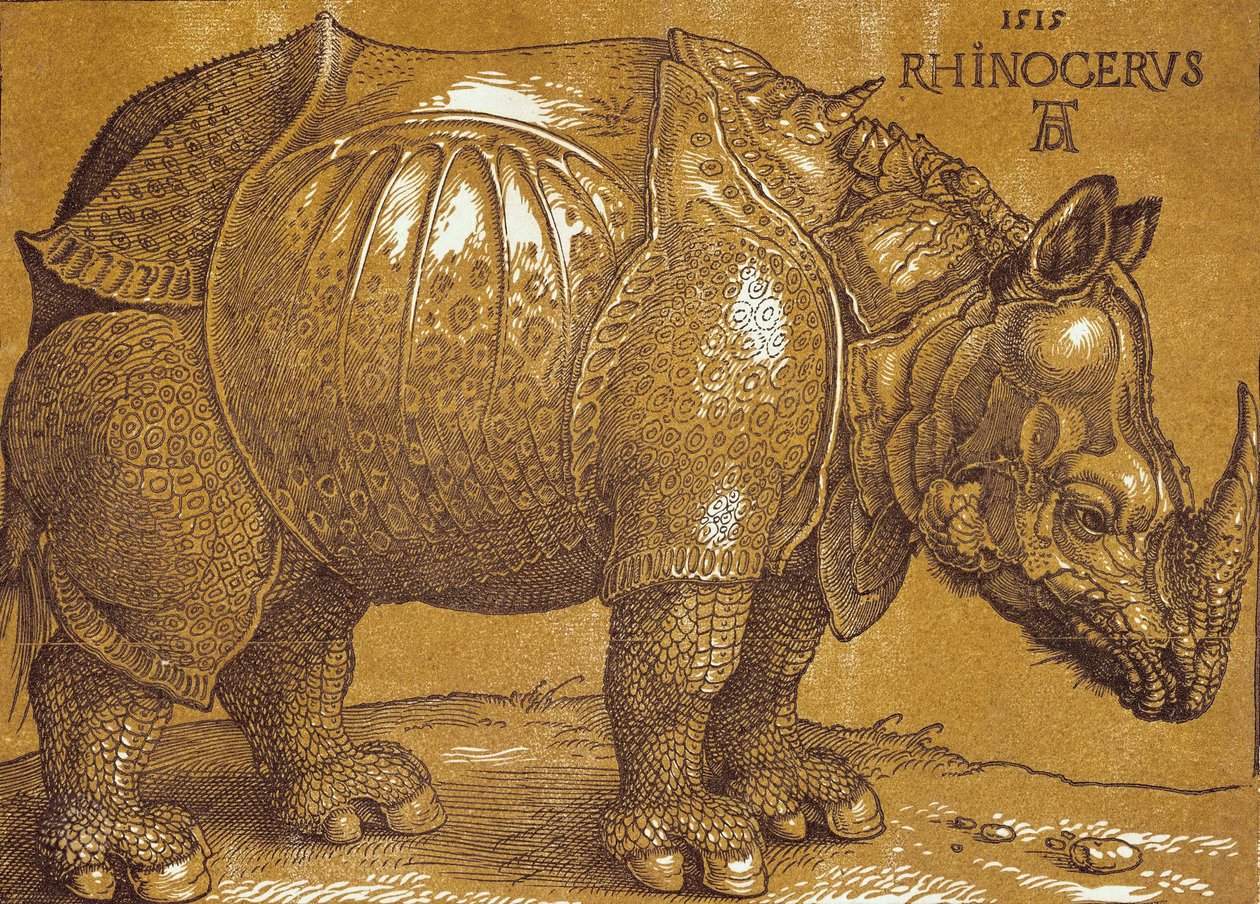 Le Rhinocéros - Albrecht Dürer