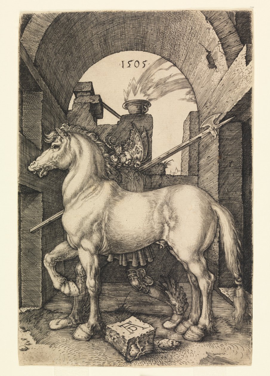 Le petit cheval - Albrecht Dürer