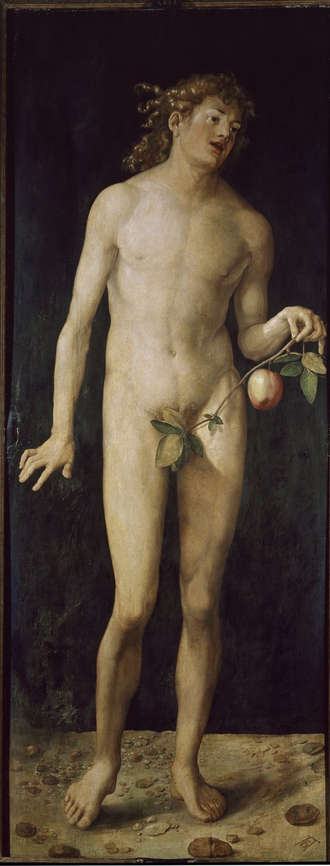 Adam (huile sur bois) - Albrecht Dürer