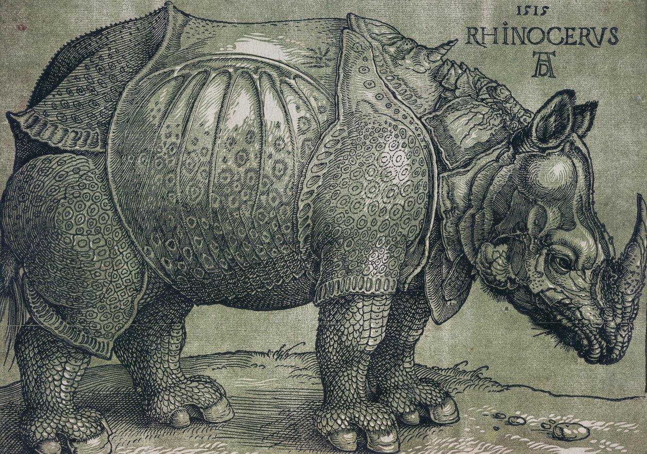 Le Rhinocéros, 1515 - Albrecht Dürer