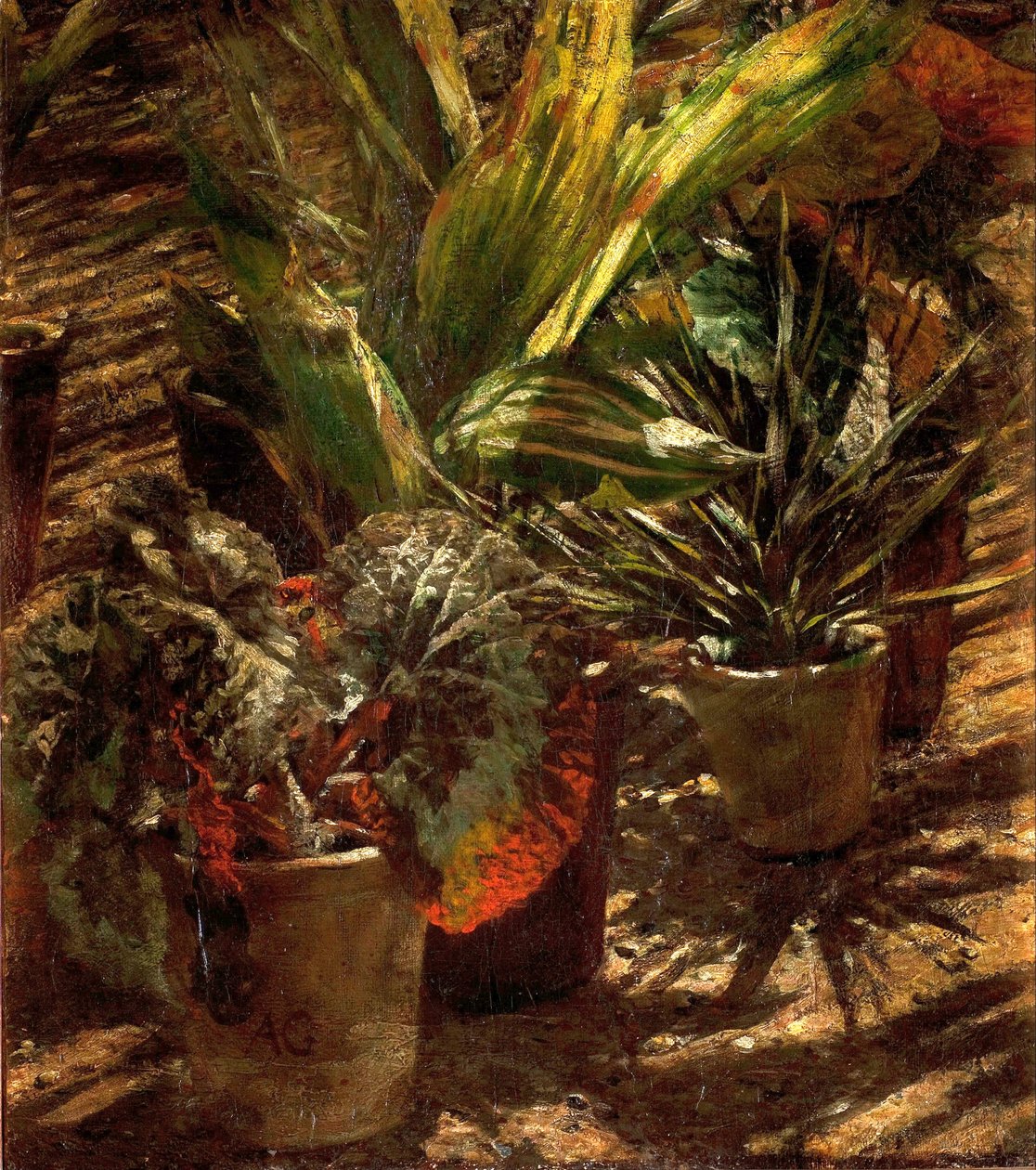 Bégonias. - Aleksander Gierymski