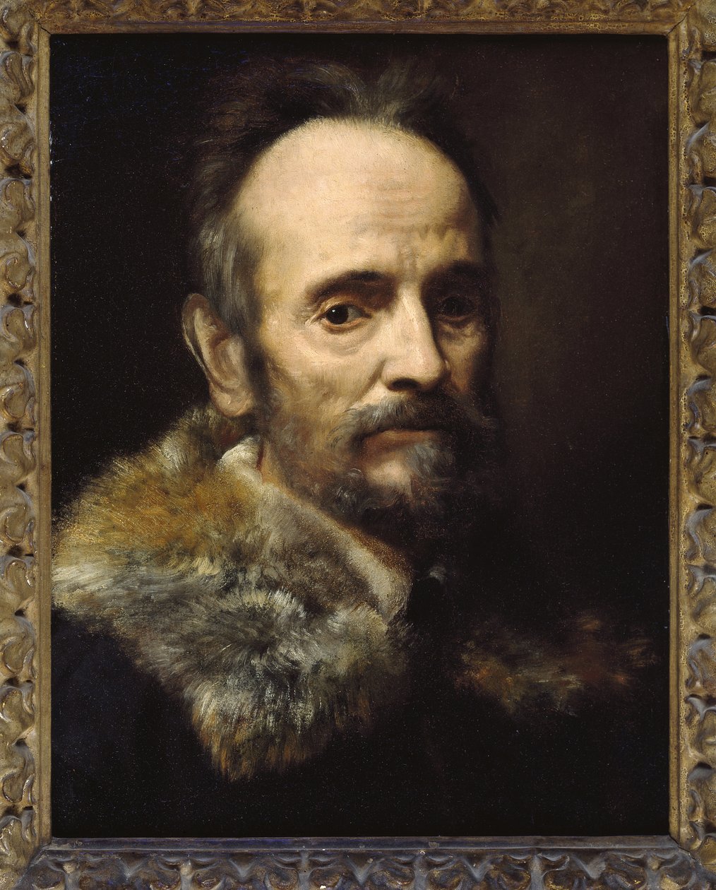 Bernardo Davanzati Bostichi - Alessandro Allori