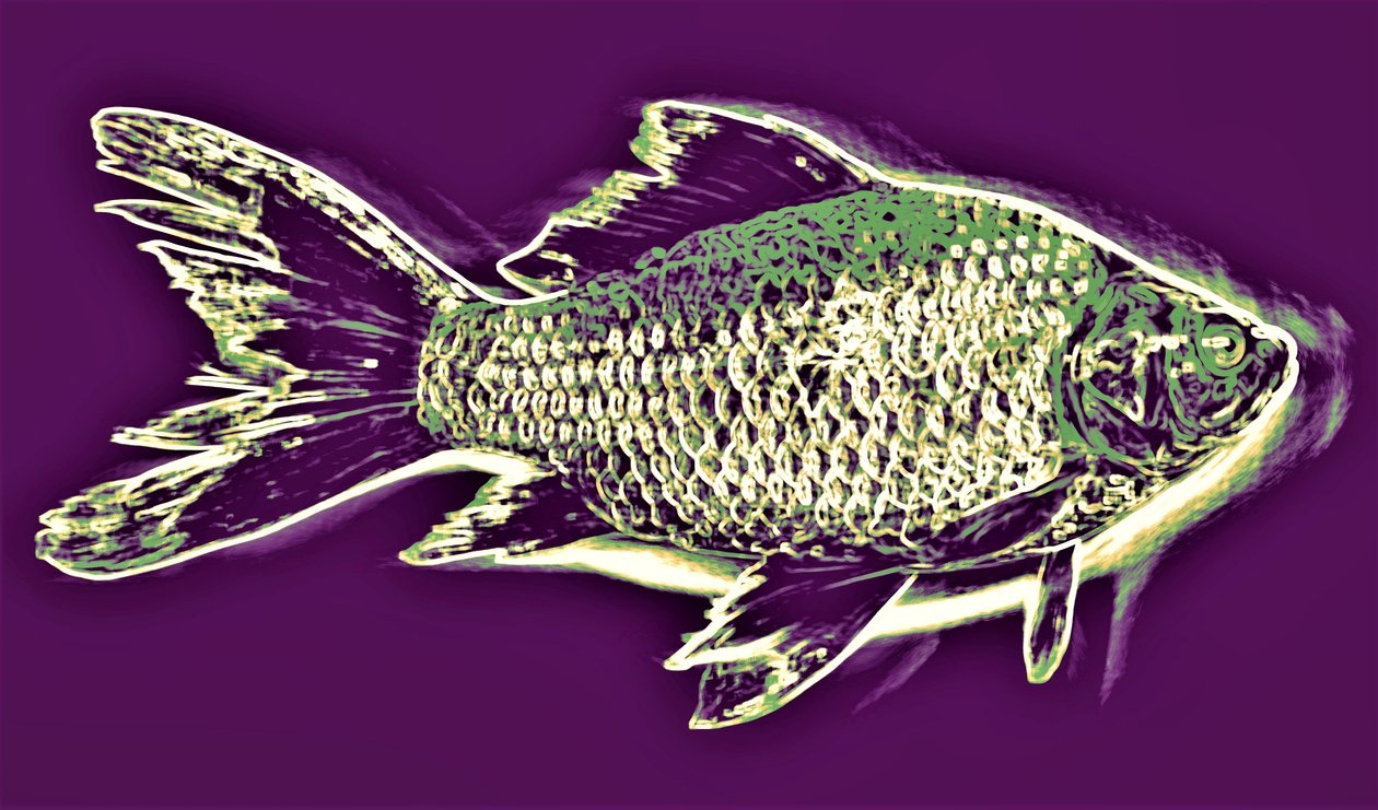 Poisson - Alex Caminker