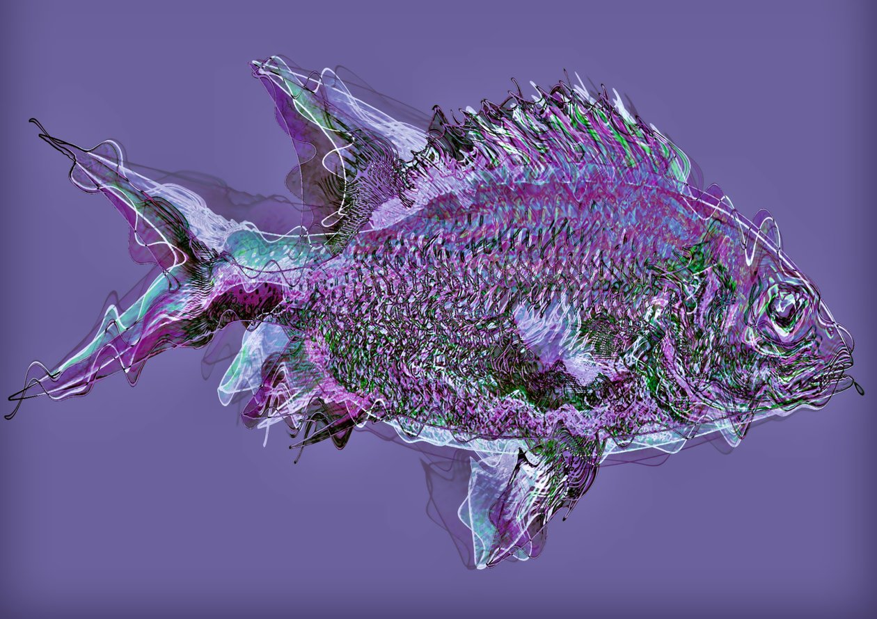 Poisson dans l