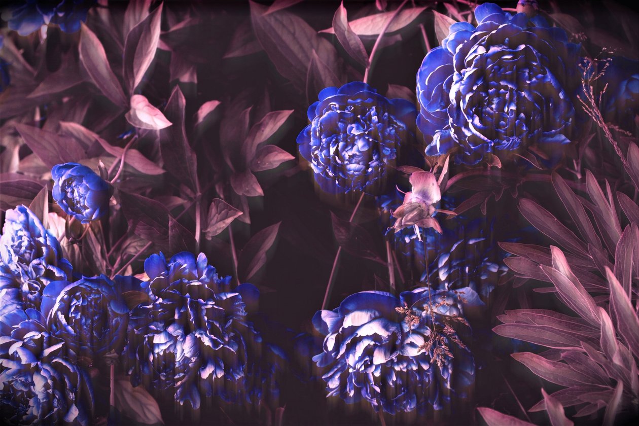 Notes bleues, 2019 - Alex Caminker