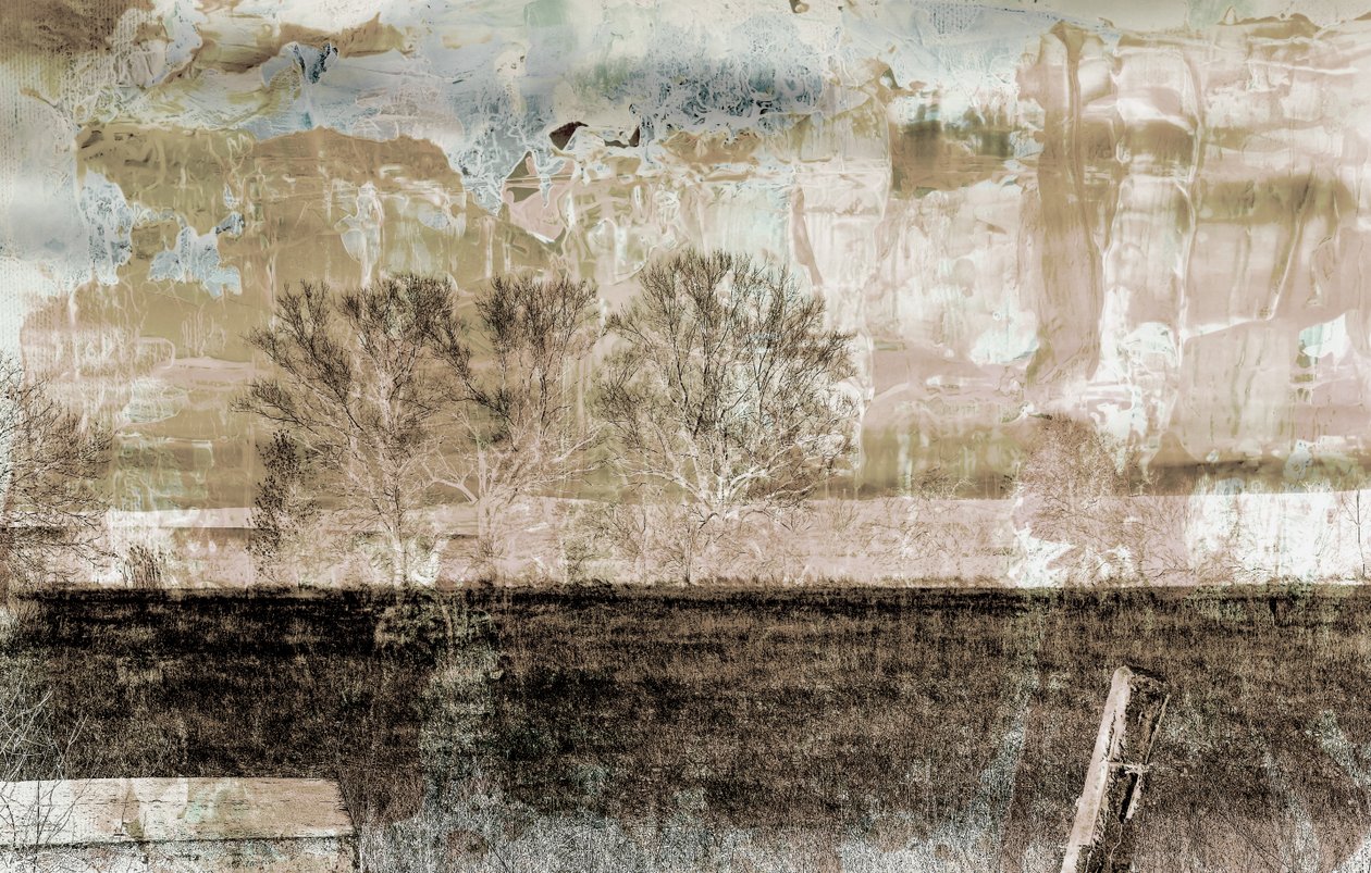 Brouillard brun - Alex Caminker