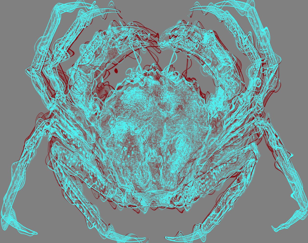 Crabe, 2020 - Alex Caminker