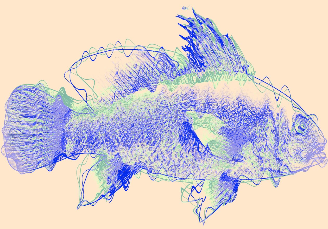 Poisson IV, 2020 - Alex Caminker