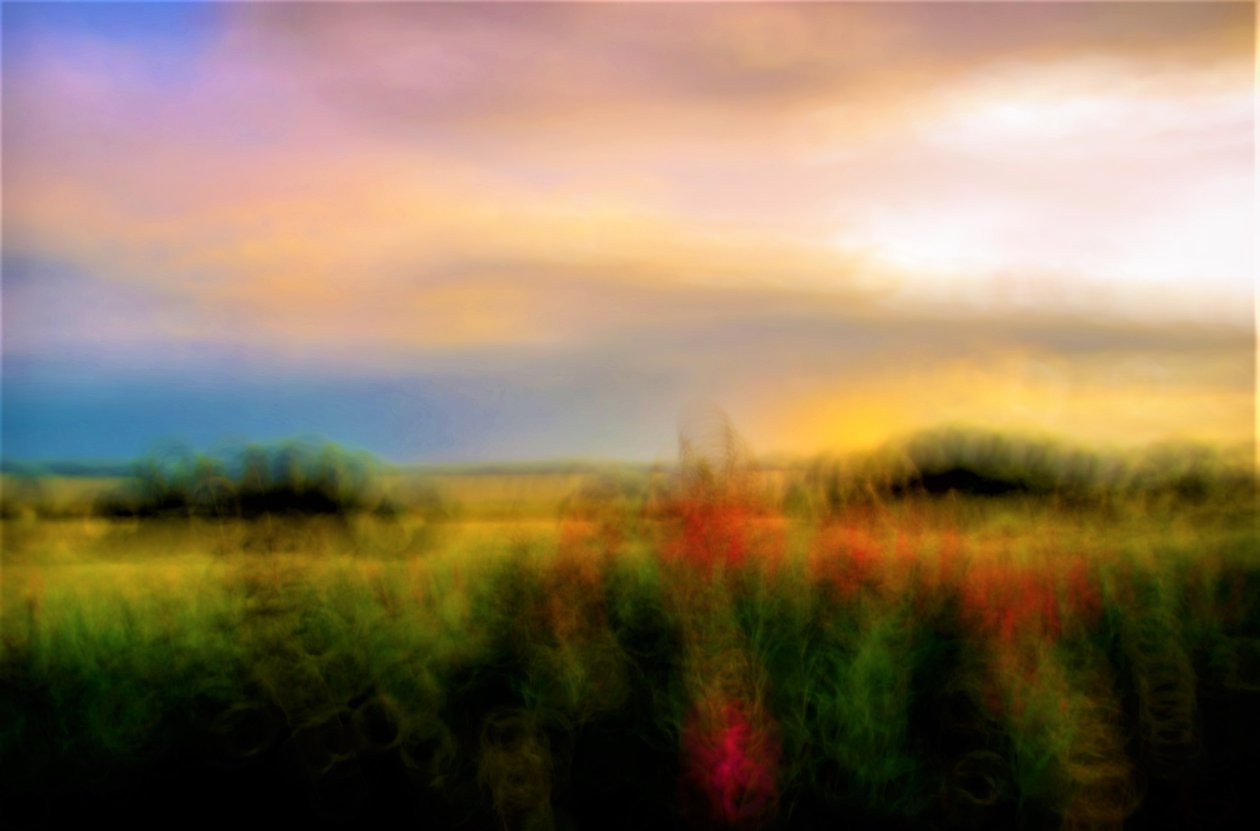 Palette, 2019 - Alex Caminker