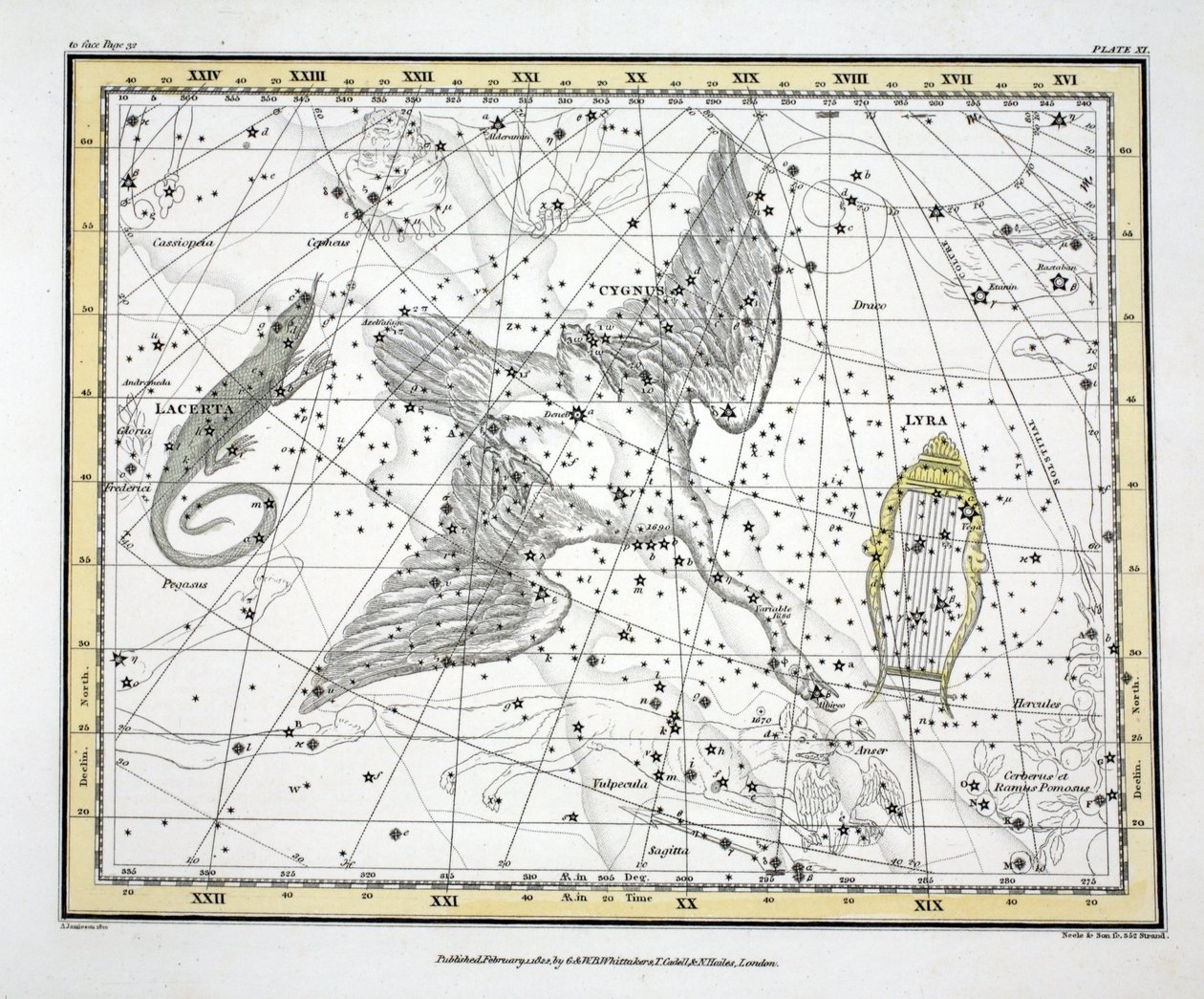 Les Constellations (Planche XI) Cygnus, Lacerta et Via Lactea, de 