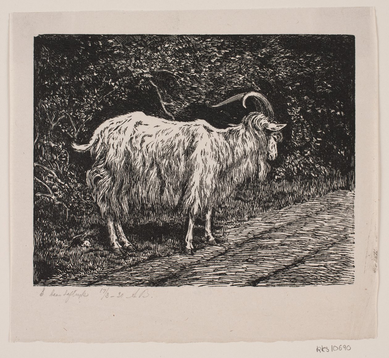 Un bouc - Alexander Blom