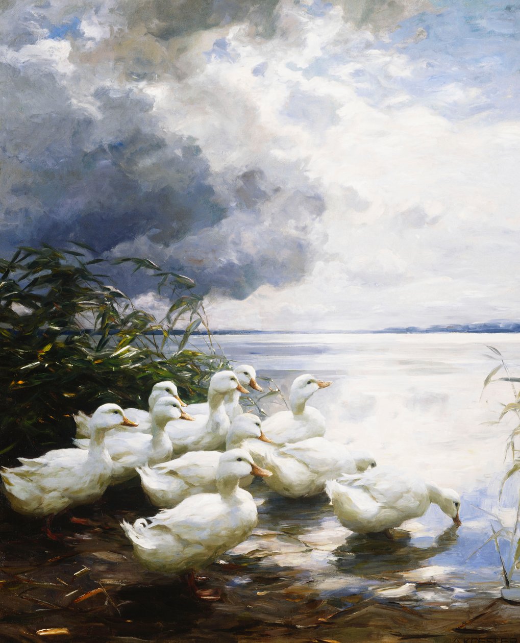 Canards au Bord du Lac - Alexander Koester